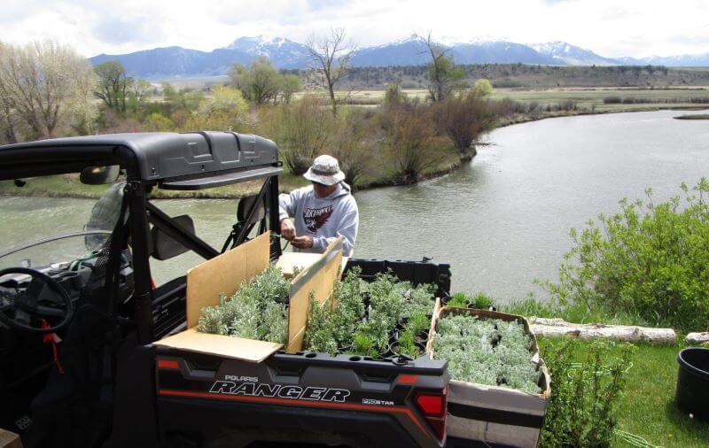 A BBS worker doing an aquatic habitat assessment alongside a river.